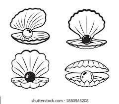 Oyster Drawing, Pearl Illustration, Pearl Images, Fish Template, Adobe Tutorials, Oyster Pearl, Step By Step Drawing, Royalty Free Photos, Tatting