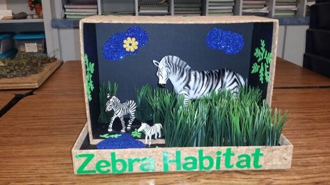 Zebra habitat Zebra Habitat, Animal Diorama, Endangered Animals Project, Diorama Kids, Diarama Ideas, Habitats Projects, Zoo Project, 100 Day Of School Project, Kindergarten Projects