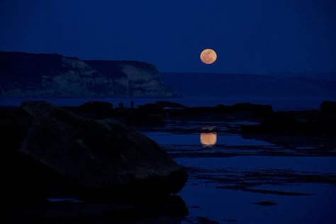 The Full Moon, Blue Hour, Feeling Blue, Night Aesthetic, Nature Aesthetic, Pretty Places, Blue Aesthetic, Interesting Art, Full Moon