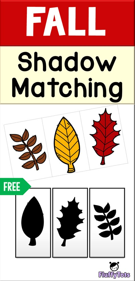 Fall Leaves Shadow Matching : FREE 3 Sets of Shadow to Be Matched Leaf Lesson Plans, Fall Leaves Activities, Leaf Lessons, Leaves Shadow, Autumn Preschool Theme, Shadow Activities, Fall Lesson Plans, Shadow Matching, Lesson Plans For Toddlers