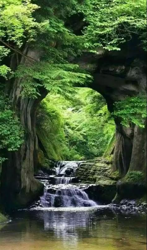 숲 사진, Taman Air, Small Waterfall, Green Forest, Enchanted Garden, Beautiful Waterfalls, Alam Yang Indah, Beautiful Tree, Fantasy Landscape