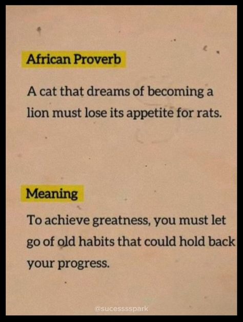 "A cat that dreams of becoming a lion must lose its appetite for rats." This African proverb reminds us to let go of old habits that hinder our progress. To truly achieve greatness, we must be willing to change and grow beyond our current limitations.   #africanproverb #personaldevelopment #growthmindset #inspiration #ceobookreviews A Cat That Dreams Of Becoming A Lion, African Proverbs Wisdom Sayings, African Philosophy, African Proverb, A Lion, Book Reviews, Let Go, Growth Mindset, Book Review