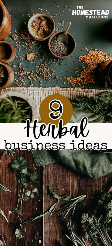 Turn your love for herbs into a thriving herbal business to make money from your homestead! 🌿 Explore innovative ways to monetize your herbal passion, from crafting herbal products to hosting workshops. Perfect for homesteaders, herbalists, and entrepreneurs looking for inspiration. Learn how to start and grow a profitable venture in the herbal market. #HerbBusiness #HerbalProducts #HomesteadBusiness #NaturalHealthMarket #ProfitFromPassion Herbal Workshop Ideas, Small Apothecary Business, Herbal Store Ideas, Holistic Herbs Herbal Medicine, How To Start An Apothecary Business, Witchy Business Ideas, Energetic Herbalism, Herbal Crafts To Sell, Herb Ideas