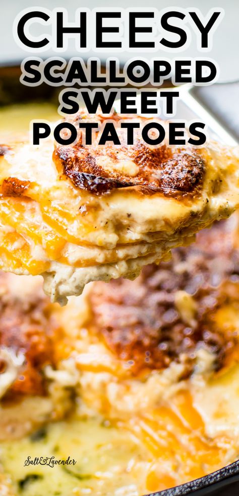 Ham Thanksgiving, Potato Recipes Crockpot, Scalloped Potato Casserole, Scalloped Sweet Potatoes, Sweet Potato Gratin, Scalloped Potatoes Recipe, Pie Thanksgiving, Turkey Ham, Scalloped Potato Recipes