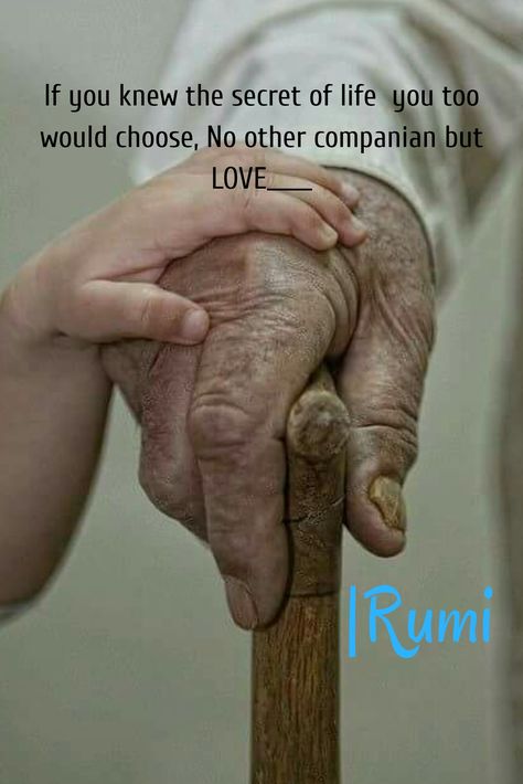 Moulana Rumi, Rumi Books, Rumi Quotes Soul, Rumi Poem, Rumi Poetry, Apj Quotes, Jalaluddin Rumi, Sufi Mystic, Rumi Love Quotes