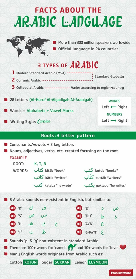 Learning Arabic For Beginners, Facts Infographic, Arabic Grammar, Spoken Arabic, Learning Languages Tips, Learn Arabic Online, Some Interesting Facts, Arabic Phrases, Teach Arabic