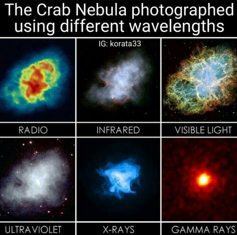 Crab Nebula, Space Universe, Daily Facts, Visible Light, Space And Astronomy, X Ray, Outer Space, Ultra Violet, Astronomy