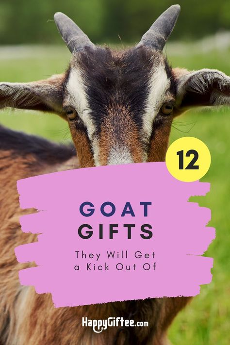 Pet Goat, Goat Gifts, Goats Funny, Goat Lover, Cute Goats, Christmas Gifts For Coworkers, Cuddly Toy, Quirky Gifts, Zoo Animals