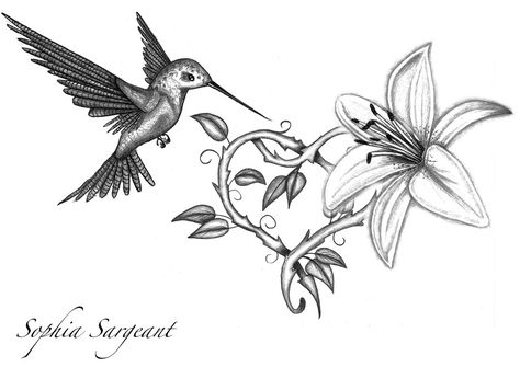 Hummingbird Flower Tattoos, Hummingbird Drawing, Lily Tattoo Design, Lily Flower Tattoos, Black Bird Tattoo, Mandala Tattoos, Bird Sketch, Lily Tattoo, Hummingbird Tattoo