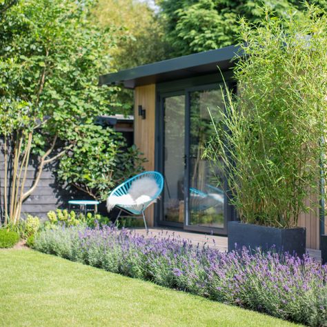 8 ways to cut the cost of a garden makeover – expert tips for paying less on landscaping, plants and more Best Trees For Privacy, Privacy Trees, Pallet Garden Furniture, Garden Paving, Budget Garden, London Garden, Garden Makeover, Wildlife Gardening, Green Lawn