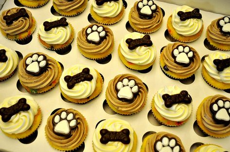 *Puppy Dog Cupcakes | Flickr - Photo Sharing! Dog Cupcakes Decoration, Dog Themed Cupcakes, Vet Reception, Puppy Dog Cupcakes, Puppy Cupcakes, Cupcake Day, Dog Cupcakes, Puppy Birthday Parties, Puppy Cake