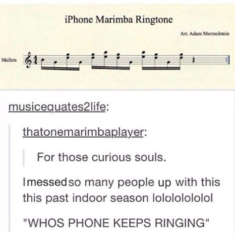 Band Jokes, Music Jokes, Music Nerd, Band Nerd, Band Geek, Band Humor, Band Memes, I'm With The Band, Music Humor