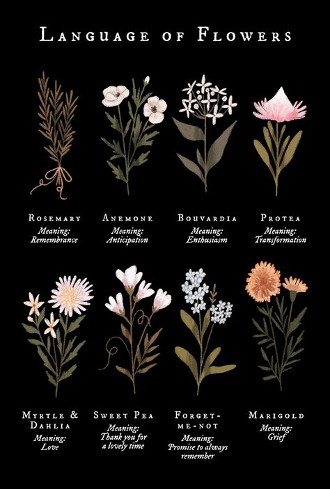 The Language Of Flowers, Flower Guide, Flower Meanings, Seni Dan Kraf, Nothing But Flowers, Flower Names, Language Of Flowers, Witch Aesthetic, Green Witch