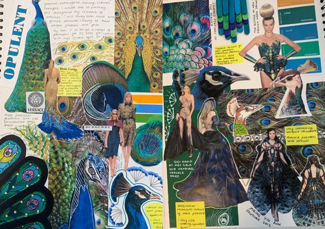 A3 research pages of the theme opulence. I chose to look at peacocks and study the shapes, textures and colours of they’re faces, body’s and feathers. Textile Thesis Themes, Fashion Research Pages, Textile Design Sketchbook, College Portfolio, Peacock Feather Art, Fashion Evolution, Textiles Sketchbook, Research Poster, Peacock Theme