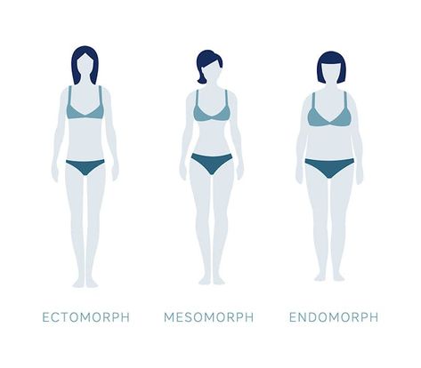 mesomorph Mesomorph Diet, Ectomorph Body, Mesomorph Body, Metabolic Type, Endomorph Body Type, Imbalanced Hormones, Basal Metabolic Rate, Strong Legs, Fast Metabolism