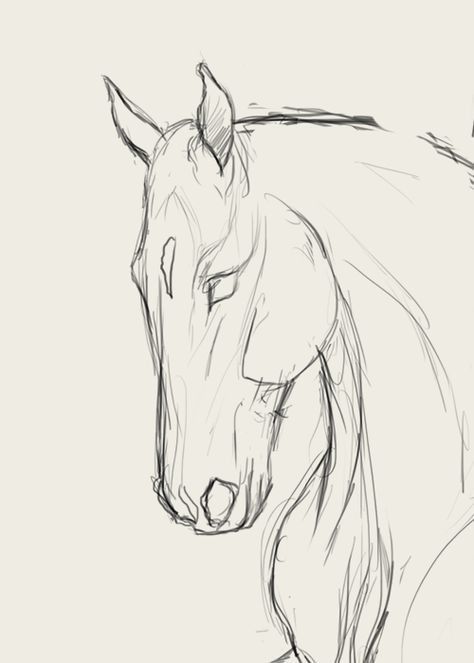 Horse Art Drawing, Rasy Koni, Horse Sketch, Horse Face, Horse Drawing, Horse Drawings, Easy Drawings Sketches, Sketch Ideas, Art Idea