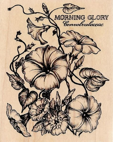 Tattoos that I love on Pinterest | Morning Glories, Morning Glory ... Morning Glory Tattoo, Blatt Tattoos, Glory Tattoo, Flower Tattoo Stencils, Birthday Month Flowers, Morning Glory Flowers, Flower Sleeve, Plant Tattoo, Dream Tattoos