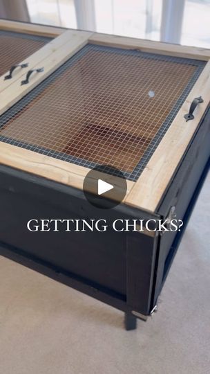 Chicken Brooder Box, Brooder Box, Chicken Brooder, Chicken Diy, Baby Chicks, Diy Box, Chickens Backyard, Design Diy, Selena Gomez