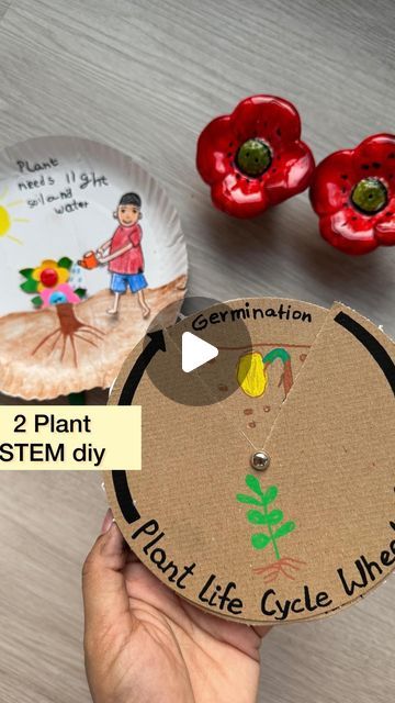 Shraddha Fogla 🇮🇳 on Instagram: "#save 2 plant STEM diy   🌱 plants need sun , water and air    You need : One paper plate, crayons, glue, ice cream stick and paint   Make a cut on the paper plate near the soil to make the plant go up and down .   Learnings : Plants have four basic survival needs; water, air, sunlight, and soil. The plant needs water to survive. Roots absorb water and nutrients from the soil. Plants need fresh air to grow and dispose of their waste.   🌱 Plant life cycle :  You need : 2 two circles of cardboard , sketch pends ,  split pins for rotation   Learnings - Terms like germination, pollination can be taught through this . Pollination is the act of transferring pollen grains from the anther of a flower to the stigma. They fertilize the plant and make wonderful bab Plant Activities, Plant Crafts, Plant Life Cycle, Ice Cream Stick, Sun Water, Stem Education, Parts Of A Plant, Plant Stem, Diy Plants