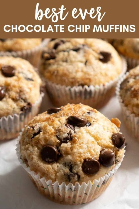 Choc Chip Muffins Recipe, Lake Meals, Moist Chocolate Chip Muffins, Homemade Chocolate Chip Muffins, Best Chocolate Chip Muffins, Chocolate Chip Muffins Easy, Choc Chip Muffins, Mini Chocolate Chip Muffins, Chocolate Chip Muffin