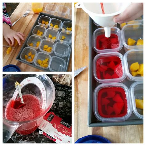 Diy Jello Cups, Diy Jello, Fruit Jello, Jello Fruit, Diy Lunchbox, Jello With Fruit, Jello Cups, Food Motivation, Work Lunches