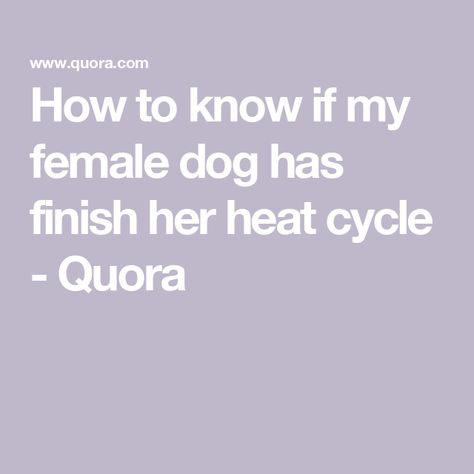 How to know if my female dog has finish her heat cycle - Quora Dog Heat Cycle Chart, Dog Heat Cycle, Menstruation Cycle, Female Dog In Heat, Dog In Heat, Pet Care, How To Know, The Heat, I Know