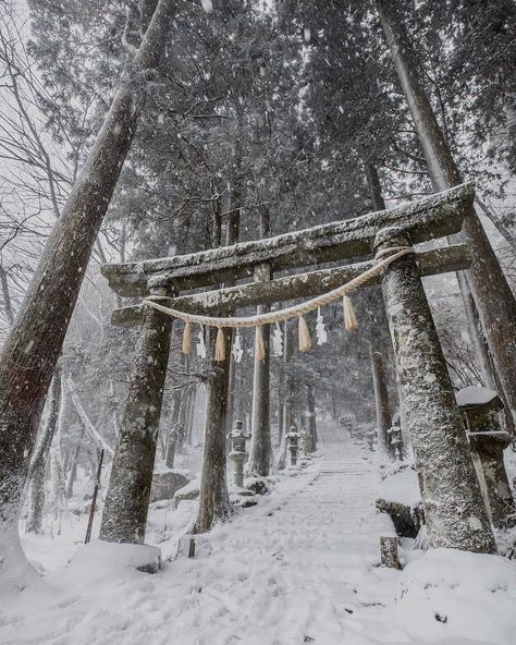 Winter In Japan, Japan Winter, Japan Landscape, Torii Gate, Snow Forest, Japanese Temple, White Images, Japan Aesthetic, Aesthetic Japan