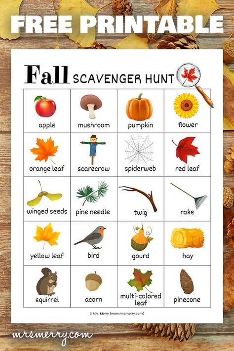 Fall Scavenger Hunt, Fall Preschool Activities, Scavenger Hunt For Kids, Harvest Party, Fall Preschool, Pumpkin Flower, Fall Items, Fall Printables, Easy Fall