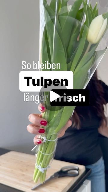 Tulip Arrangement Ideas, Tulpen Arrangements, Tulips Arrangement, Hacks Lifehacks, Ikebana Arrangements, Flower Arrangements Simple, April 11, Tulips, Flower Arrangements