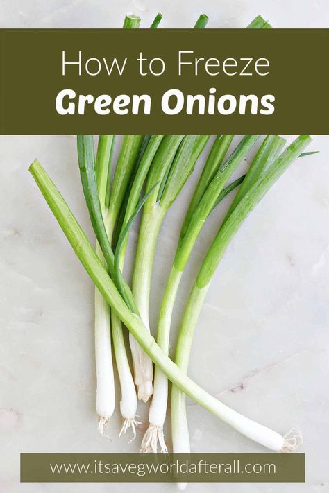 Learn how to freeze green onions to preserve them for later use in recipes. This cooking hack is great for when you have an abundance of scallions and don't want them to go bad! Freeze Green Onions, Egg Muffins Breakfast Healthy, Freezing Vegetables, Healthy Egg Breakfast, Egg Muffins Breakfast, Plant Based Recipes Easy, Vegetable Prep, Healthy Vegetable Recipes, Freeze Greens