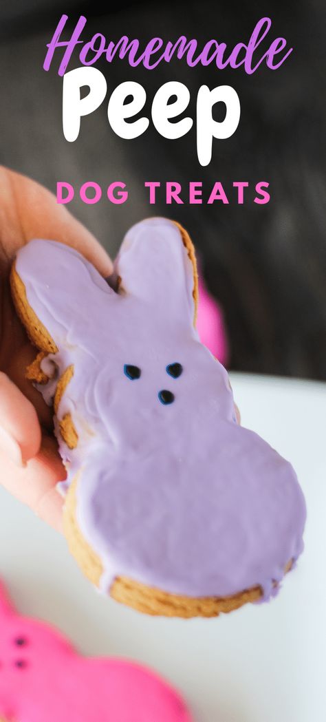 Easter Dog Treats Recipe, Cute Homemade Dog Treats, Homemade Dog Treat Packaging Ideas, Dog Sprinkles Recipe, Dog Treats That Look Like Human Food, Spring Dog Treats, Easter Dog Treats Homemade, Dog Treat Cookies, Fancy Dog Treats