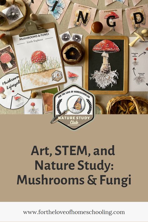 Mushroom Science Project, Homeschool Mushroom Study, Mushroom Science Fair Project, Mushroom Unit Study Free, Mushroom Unit Study, Mushroom Preschool Activities, Mushroom Activities For Kids, February Homeschool, Mushroom Theme