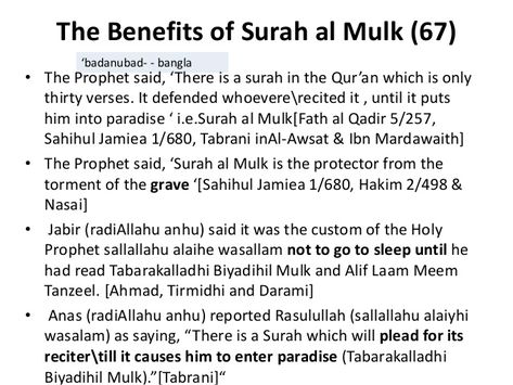 Benefits of Surah Mulk Short Surah, Surah Al Quran, Love Verses, Islam Journal, Islamic Study, Islamic Journal, Islam Knowledge, Social Quotes, Verses About Love