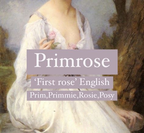 Baby girl name Primrose. Princess flower name. Primrose Name Meaning, Primrose Name, Flower Names Aesthetic, Flower Nicknames, Primrose Meaning, Rose Name Meaning, Flower Names And Meanings, Primrose Aesthetic, Names Meaning Flower