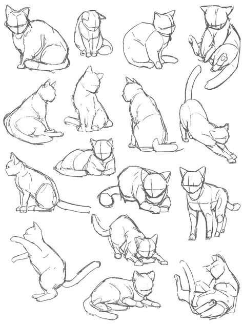 Cats For Drawing, Cat Sketch Poses, Cat Drawings Tutorials, Animal Drawings Reference, Manga Cat Drawing, Cat Body Sketch, Cat Posing Reference, Cat Poses Drawing Reference Laying Down, Animals Poses Reference