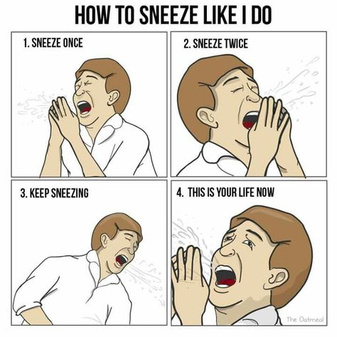 Sneezing Allergy Memes, The Oatmeal Comics, Allergies Funny, Perry Bible Fellowship, This Is Your Life, Funny Comics, New Memes, Funny Images, Allergies