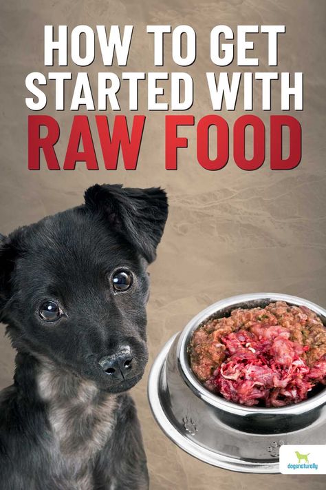 Raw Food Diet For Puppies, How Much Raw Food To Feed Dog, Raw Food Diet For Small Dogs, How To Make Raw Dog Food, Dog Raw Diet Meal Plan, Raw Pet Food Recipes, Raw Meat Diet For Dogs, Raw Diet For Dogs Beginner, Raw Food Diet For Dogs Beginner