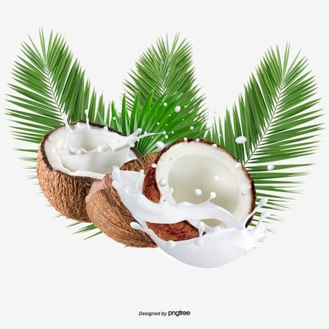 Coconut Images, Coconut Vector, Pineapple Backgrounds, First Communion Decorations, Fruit Clipart, Food Art Photography, Fruit Cartoon, Body Shop At Home, Pineapple Fruit