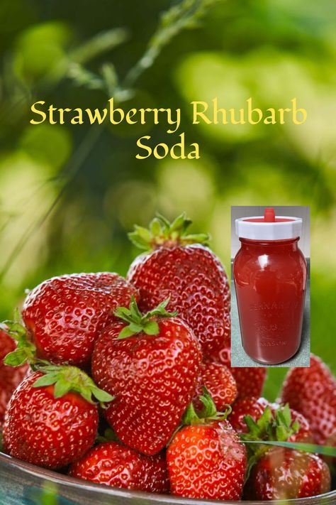 Strawberry Rhubarb Soda recipe Gingerbug Soda, Strawberry Soda Recipe, Rhubarb Soda, Fermented Soda, Heal My Gut, Natural Soda, Magical Food, Fermented Drinks, Ginger Bug