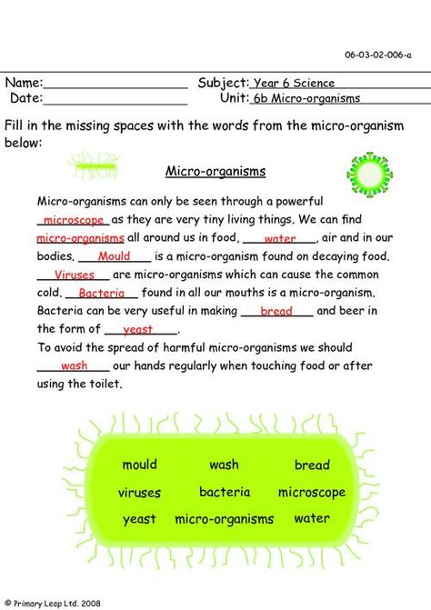 PrimaryLeap.co.uk - Micro-organisms Worksheet Microbiology Worksheets, Microorganisms Project, Hygiene Lessons, Learn Reading, Cells Worksheet, Eagle Project, Micro Organisms, Biology Worksheet, Light Science