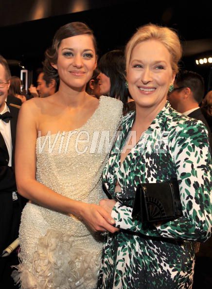 Marion Cotillard (SC) and Meryl Streep (SC) Kibbe Celebrities, Kibbe Soft Classic, Classic Kibbe, David Kibbe, Marion Cotillard, Female Actresses, Michael Fassbender, Meryl Streep, Sophia Loren