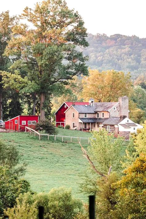 Best Farm Stays In Lancaster, Pennsylvania Quaint Towns In America, Amish Aesthetic, Pennsylvania Aesthetic, Pennsylvania Countryside, Pennsylvania Photography, Purple Coneflowers, 2025 Inspiration, Rural Pennsylvania, Pennsylvania Dutch Country