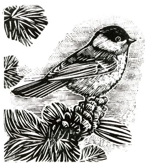 Chickadee - wood engraving - Rick Allen, U.S.A. Ripples In Water, Lino Cuts, Duluth Minnesota, Wood Engraving, 21st Century, Letterpress, 19th Century, Wood