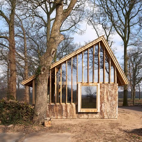 Concrete Siding, Wooden Barn, Contemporary Building, Old Oak Tree, Wood Siding, Modern Cabin, Modern Exterior, Rustic Barn, Architect Design