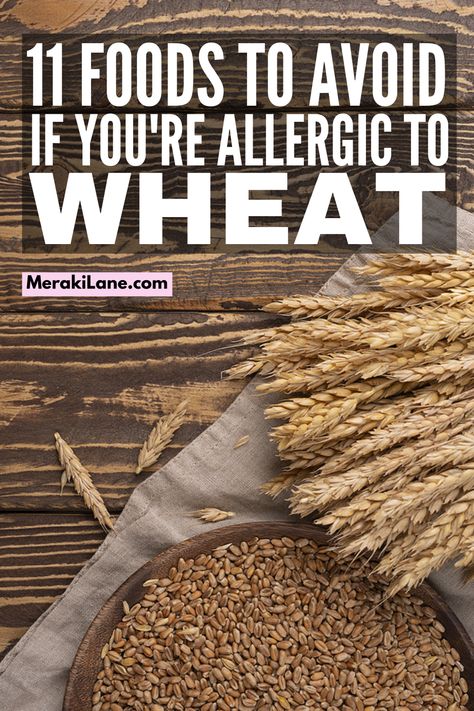 Wheat Allergy 101 for Beginners | If you think you or your child may be allergic to wheat, this post is a great resource! It includes the signs and symptoms of a wheat allergy, common causes, as well as tips to help you know if you're dealing with a gluten vs a wheat allergy. We've also included a food list with a list of common foods to avoid with a wheat allergy, as well as a link to a post with tons of wheat allergy diet recipes and meals! Wheat Allergy Diet, Wheat Allergy Symptoms, Allergy Diet, Wheat Allergy, Wheat Free Diet, Dairy Allergy, Wheat Recipes, List Of Foods, Gluten Allergy