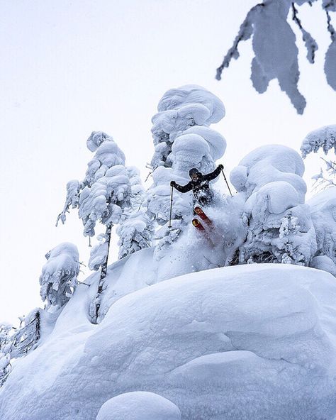 Japan Ski Tours - Japan Ski Tours - Home Ski Japan, Snowboarding In Japan, Japan Skiing, Skiing In Japan, Winter In Japan, Ski Aesthetic, Womens Ski, Health Retreat, 3 Days Trip