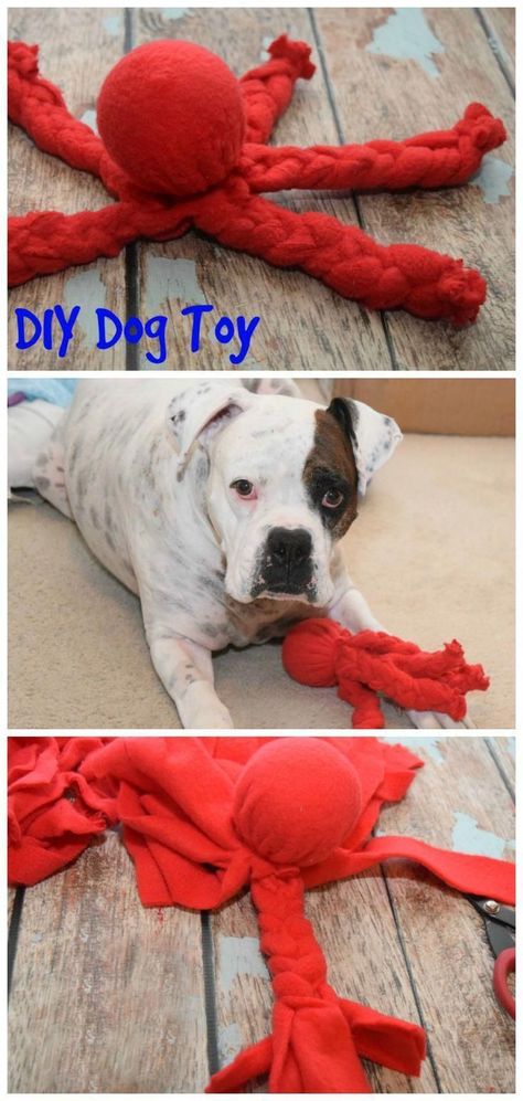 Diy Chat, Homemade Dog Toys, Chat Diy, Kat Diy, Diy Pet Toys, Diy Dog Toys, Positive Dog Training, Dog Projects, Dog Crafts