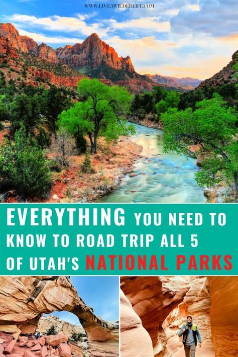 National Park Road Trip Itinerary, National Parks Road Trip, Utah National Parks Road Trip, Utah Parks, Utah Vacation, Usa Roadtrip, Utah Road Trip, National Park Road Trip, Utah Travel