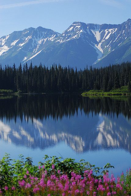 Yukon Territory - definitely the most beautiful place I have ever been to Yukon Territory Canada, Yukon Canada, Yukon Territory, Canada Photography, Travel Canada, Visit Canada, Bucket Lists, Quebec Canada, Cool Landscapes