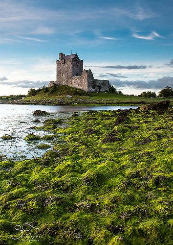 Dunguaire Castle, Co, Galway | Shane Turner Photography Tralee Co ... Dunguaire Castle, Ireland Pictures, Galway Ireland, Irish Castles, Castles In Ireland, Ireland Landscape, Irish Sea, Republic Of Ireland, Visit Ireland